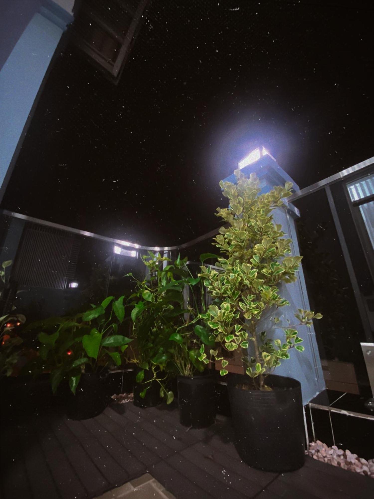 Casa de hóspedes Saigonese *